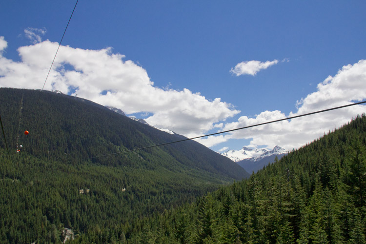 Length of The Sasquatch Zipline in Whistler