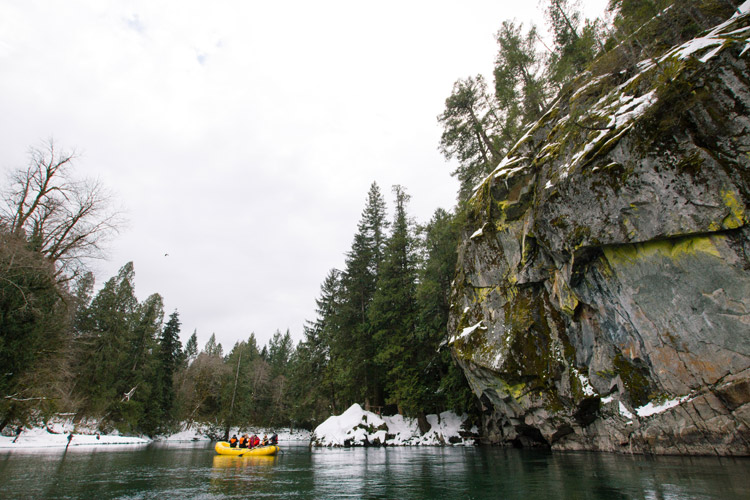 Squamish Rafting Company Winter Eagle Viewing Tour