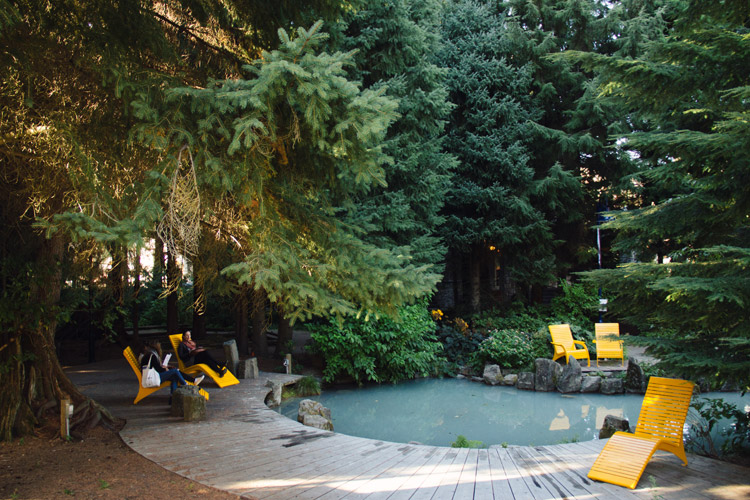 Loungers at Florence Peterson Park in Whistler