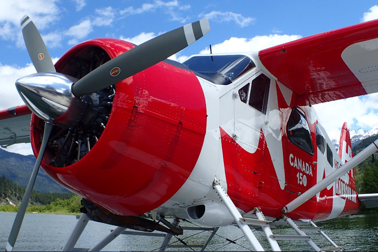 A cheery Canadian makeover for Harbour Air's planes. PHOTO EMILY SMITH 