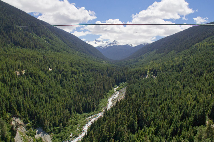 Views from the Sasquatch Zipline