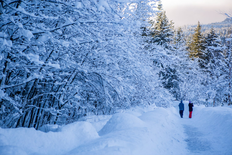 Valley trail in winter