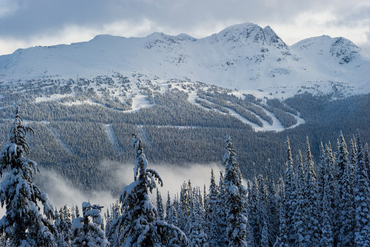 Blackcomb Mountain viewed from Whistler Mountain